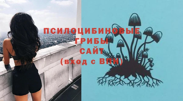 сатива Алексеевка